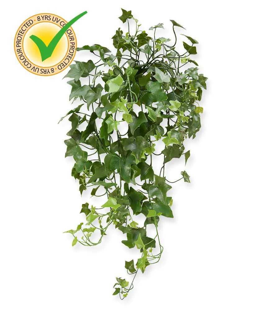 Pflanzenglanz® Künstliches Efeu Hängepflanze 65 - 100 cm UV Beständig - perfekt für den Außenbereich