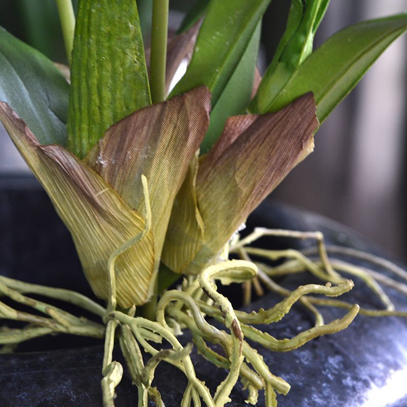 Pflanzenglanz® Künstliche Orchidee Oncidium deluxe Kunststrauß 80cm creme