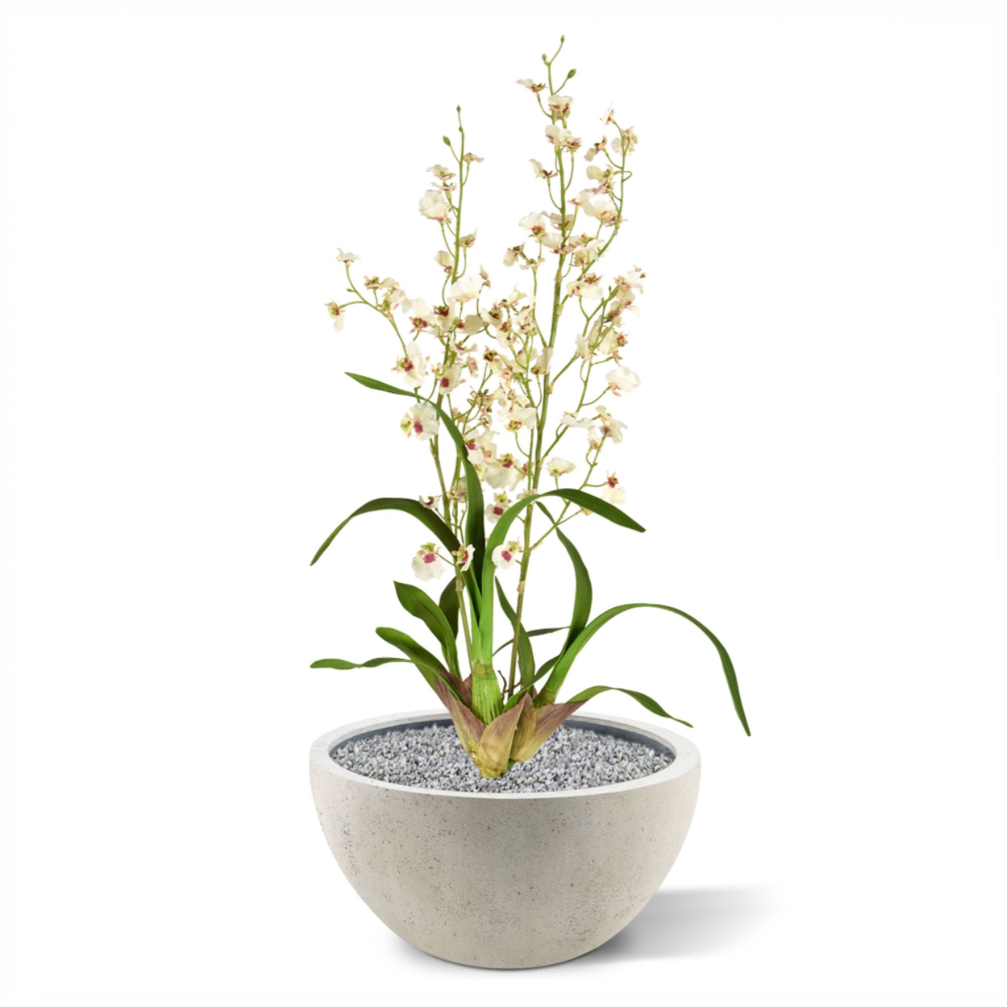 Pflanzenglanz® Künstliche Orchidee Oncidium deluxe Kunststrauß 80cm creme