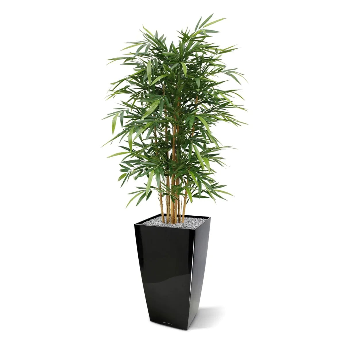 Pflanzenglanz® Bambus Kunstpflanze Kunstbaum Deluxe 150 cm