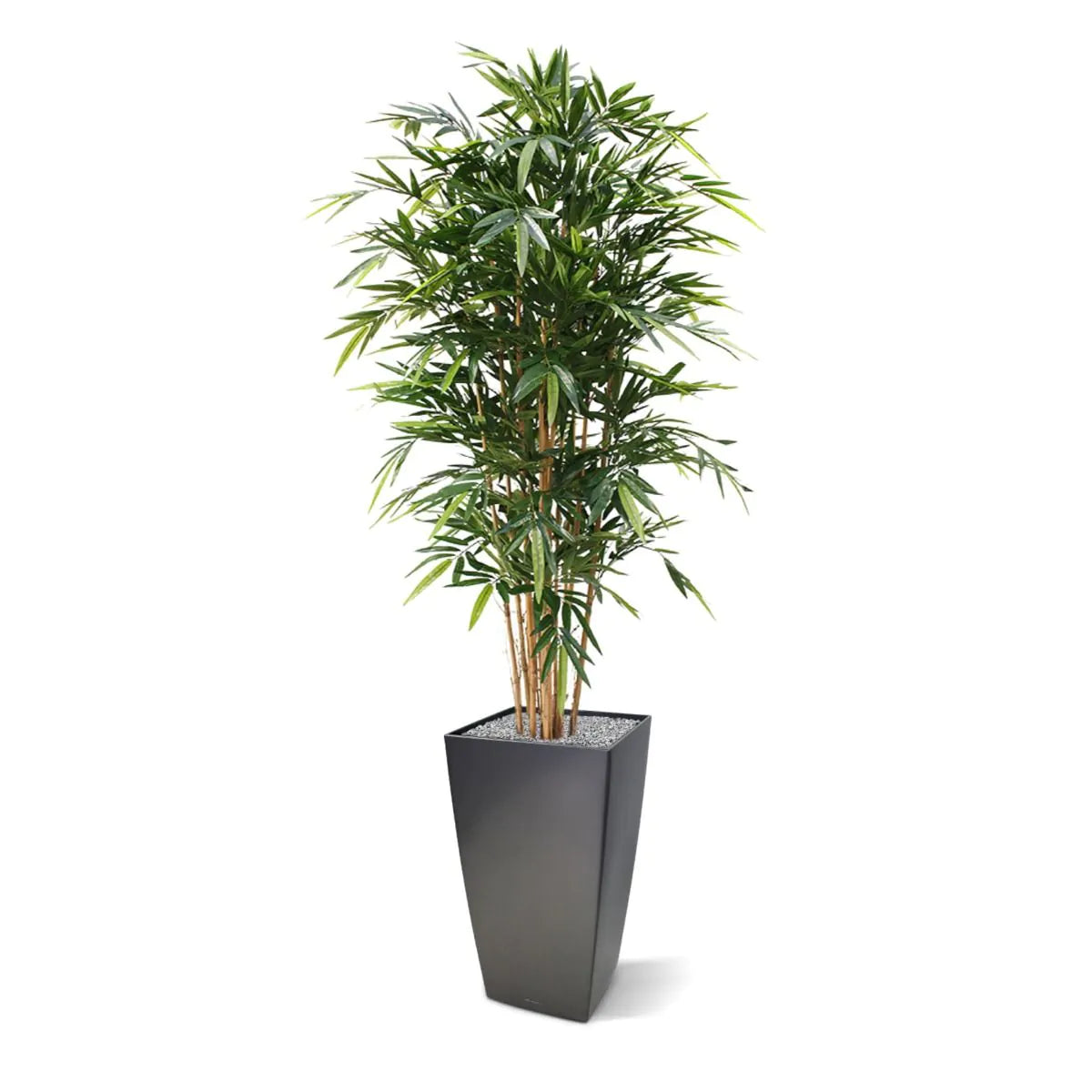Pflanzenglanz® Bambus Kunstpflanze Deluxe 180 cm Kunstbaum