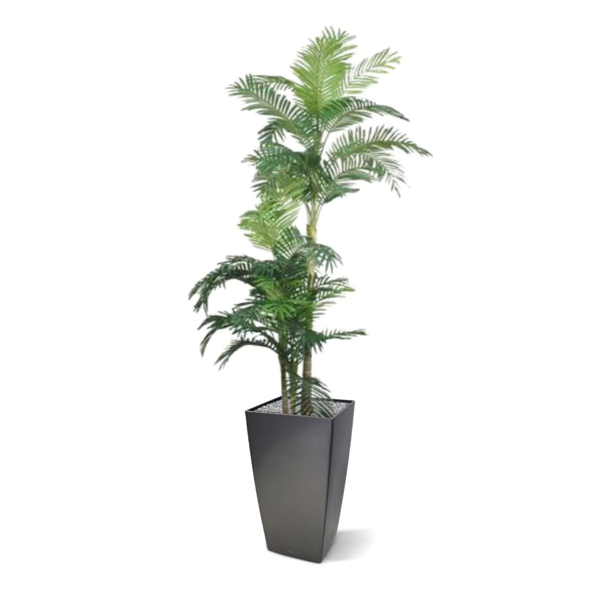Pflanzenglanz® Golden Cane Areca Kunstpalme 180 cm mit 3 Stämmen