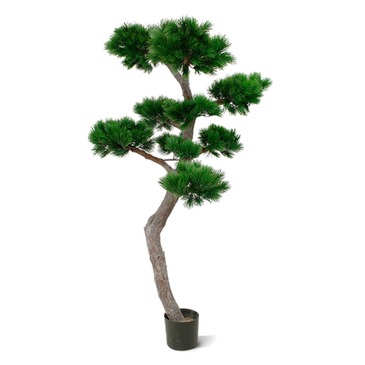 Pinus Bonsai Kunstbaum XL 200 cm UV-beständig